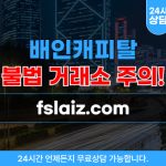 배인캐피탈 사칭 투자사기 웹사이트 fslaiz.com